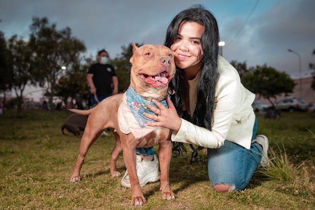 educar a un pitbull