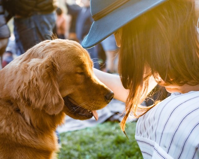 como educar una perrita