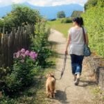 enseñar a una perrita a ir al baño