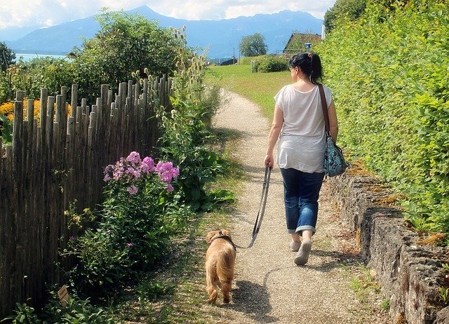 enseñar a una perrita a ir al baño