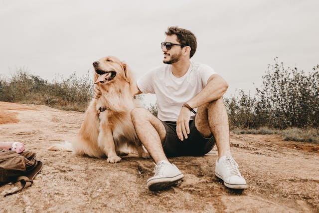 golden retriever feliz